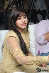 Geethanjali Movie Success Meet